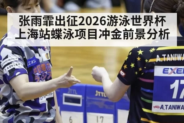 张雨霏出征2026游泳世界杯上海站蝶泳项目冲金前景分析